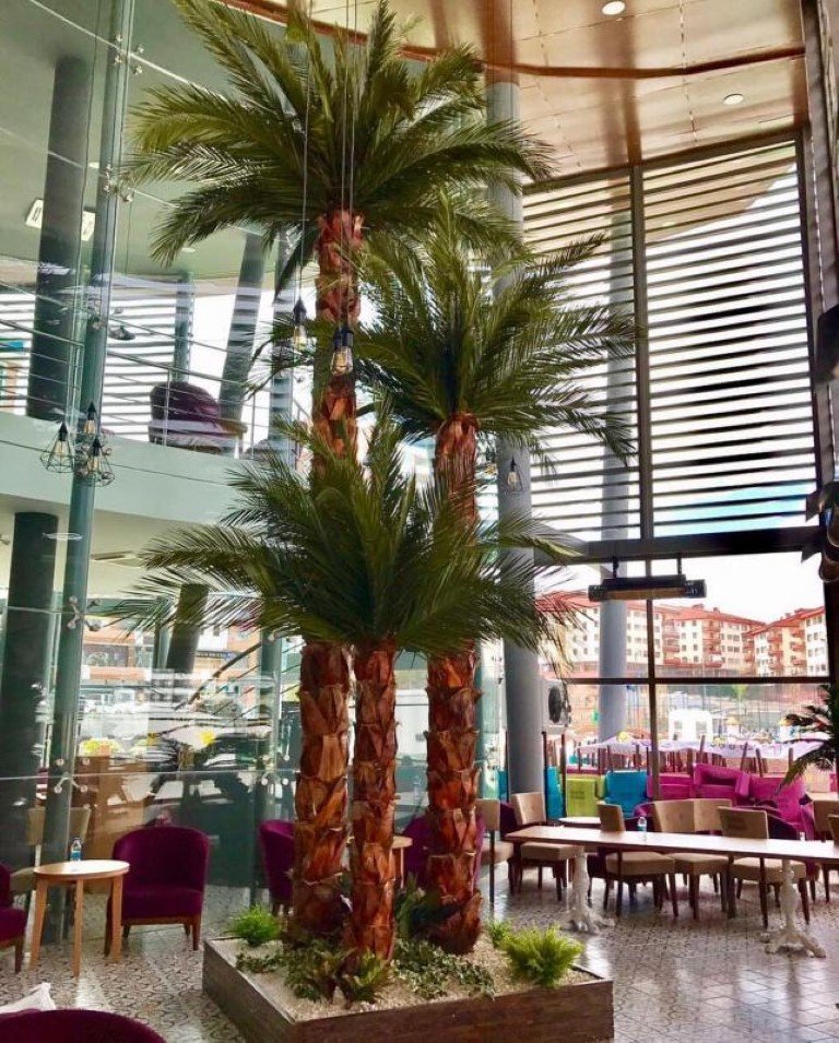 Botanik Bahçe Nasıl Yapılır?